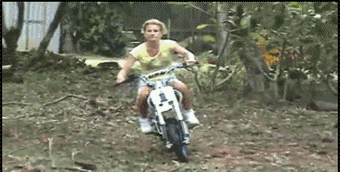 Gifs
