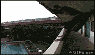 Gifs Grasiosos y buenos