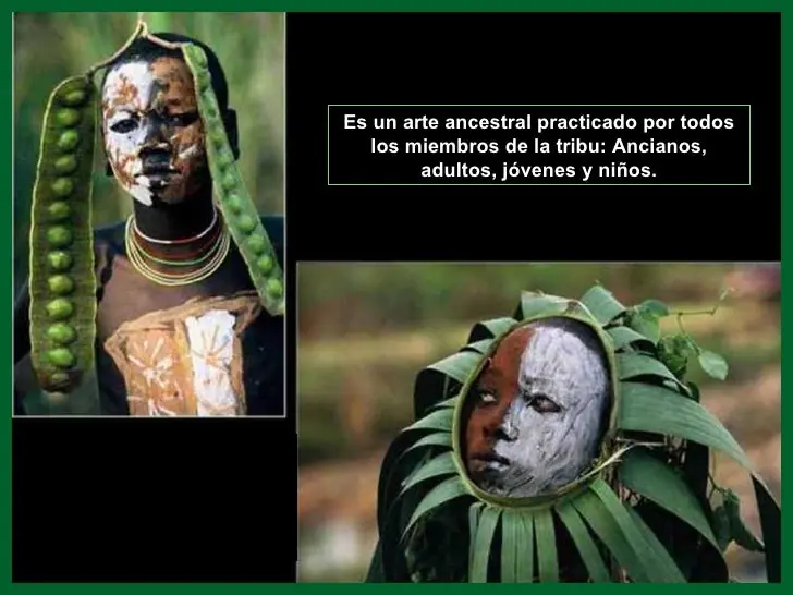 tribu