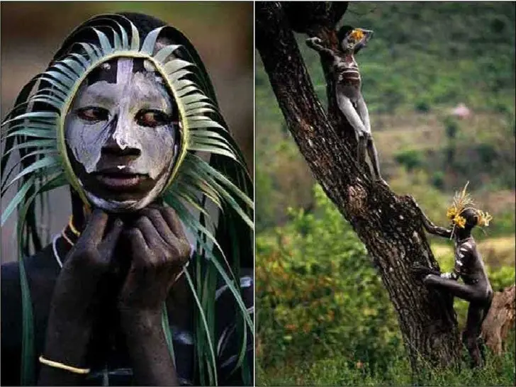 tribu