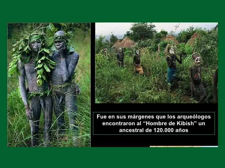tribu