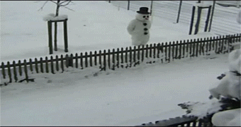 Gifs Grasiosos y buenos