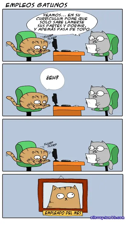 humor
