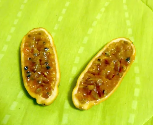pulpa