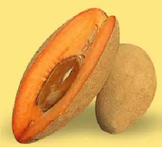 jugo