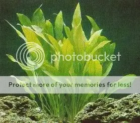photoshop