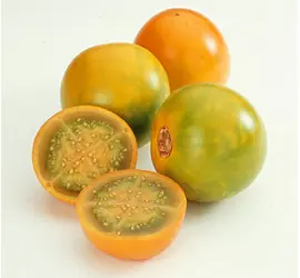 pulpa