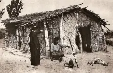 Cipolletti