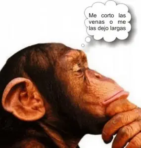 reflexion