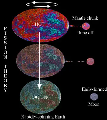 ciencia