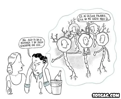 imagenes para reir