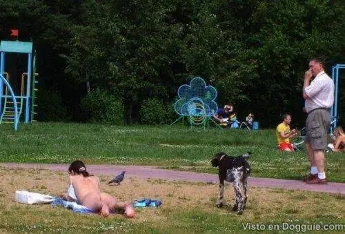 imagenes