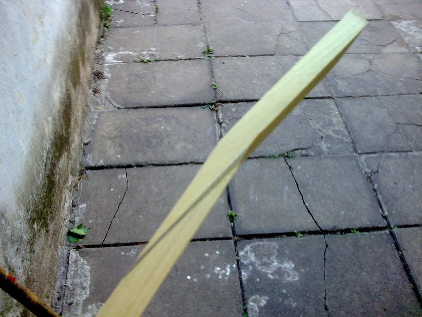 bajo