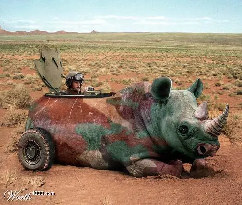 los animales tambien pueden