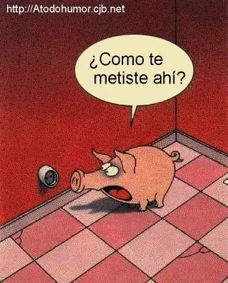 humor