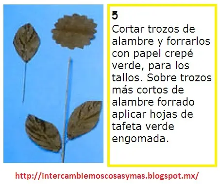 girasol