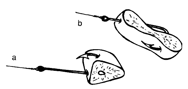 Aprende a pescar (convertirte en el roña castro de la pesca