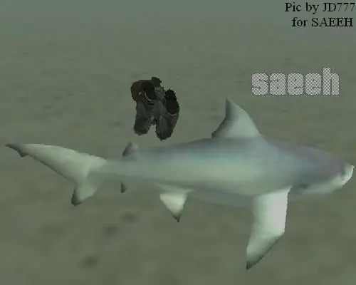 del gta