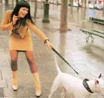 Como