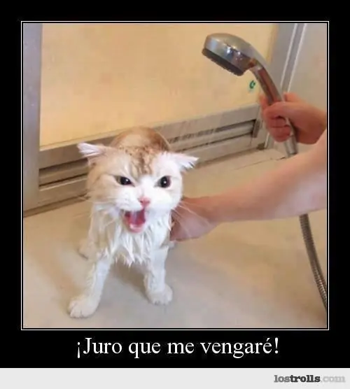 entretenimiento