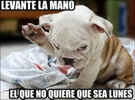 relax