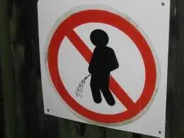imagenes curadas