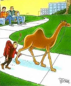 humor