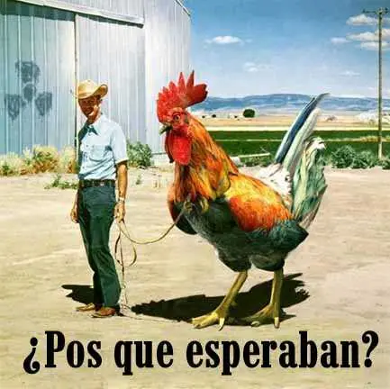 Frases para inteligentes, jaja.