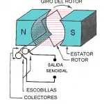 picerno