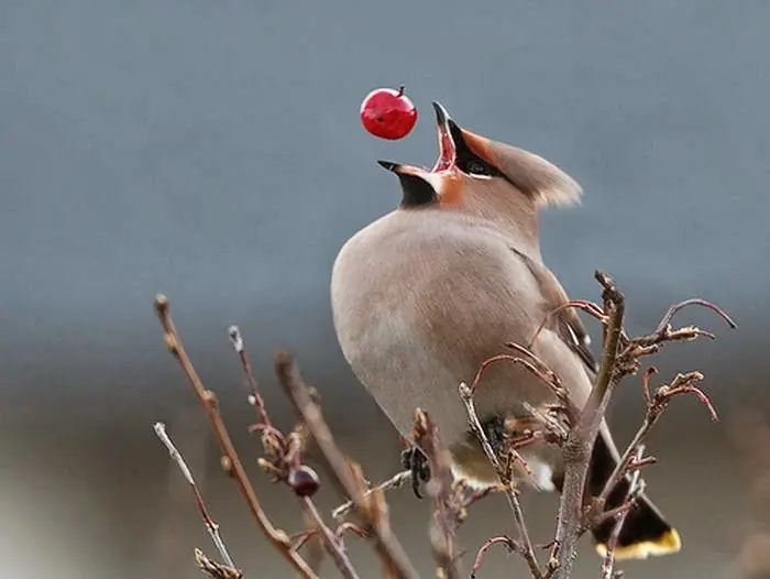 fotos tomadas en el momento exacto