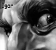 vengadores