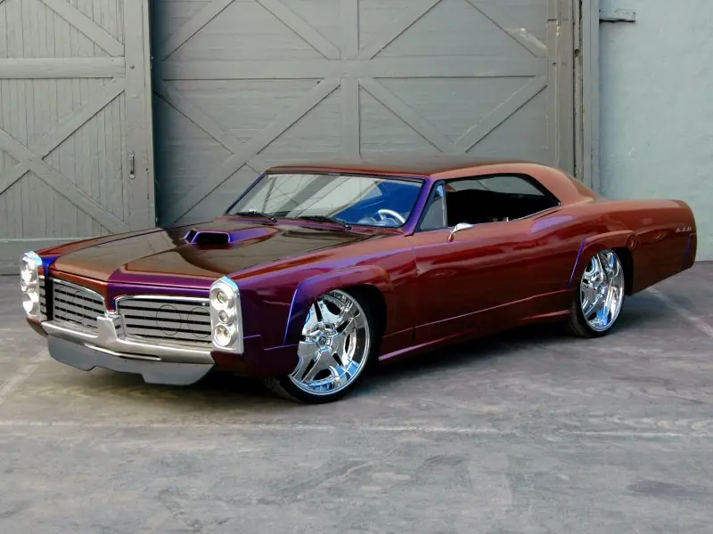 barracuda