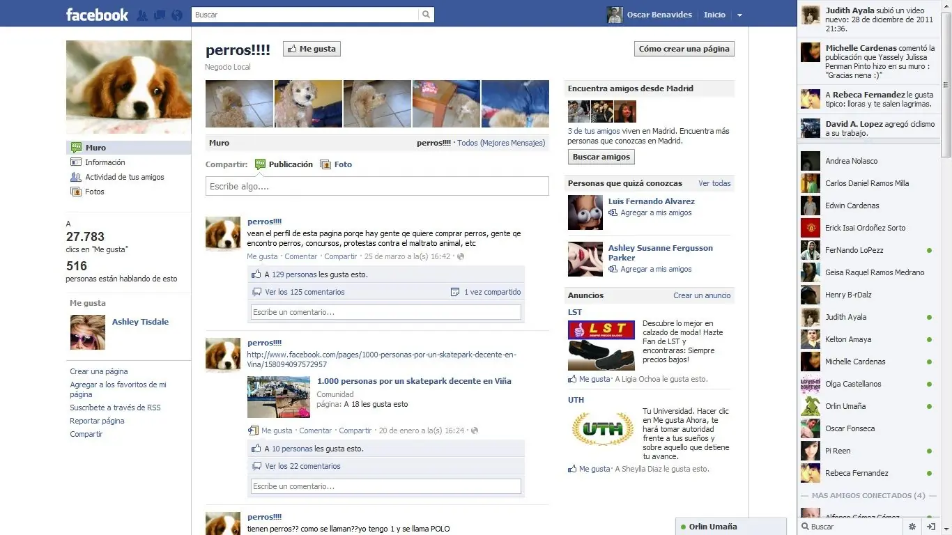 perfil