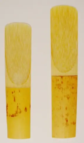 bajo