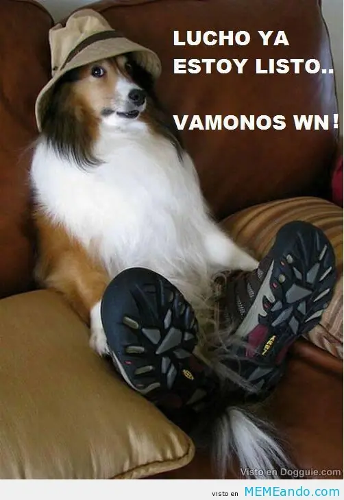 memes