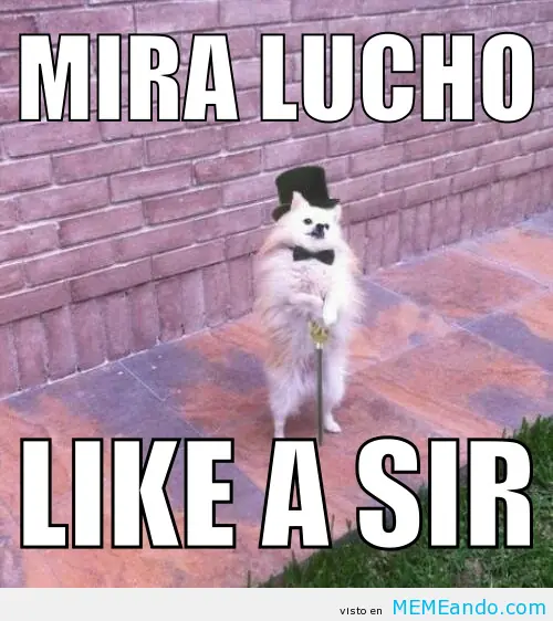 un post de memes xD