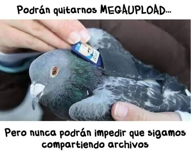 megaupload