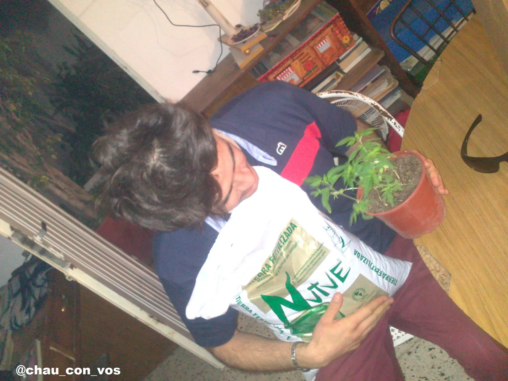 guiso