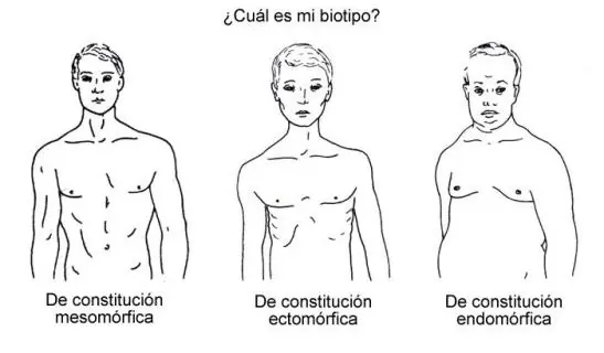 Biotipos según Sheldon