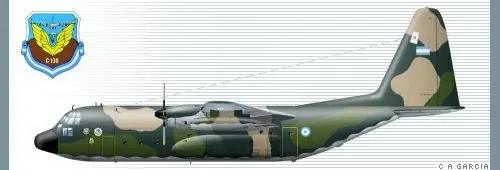 Fuerza Aerea Argentina aviones