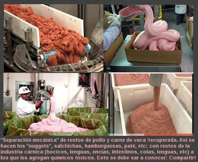 6 Mc motivos para no ir a Mc Donalds