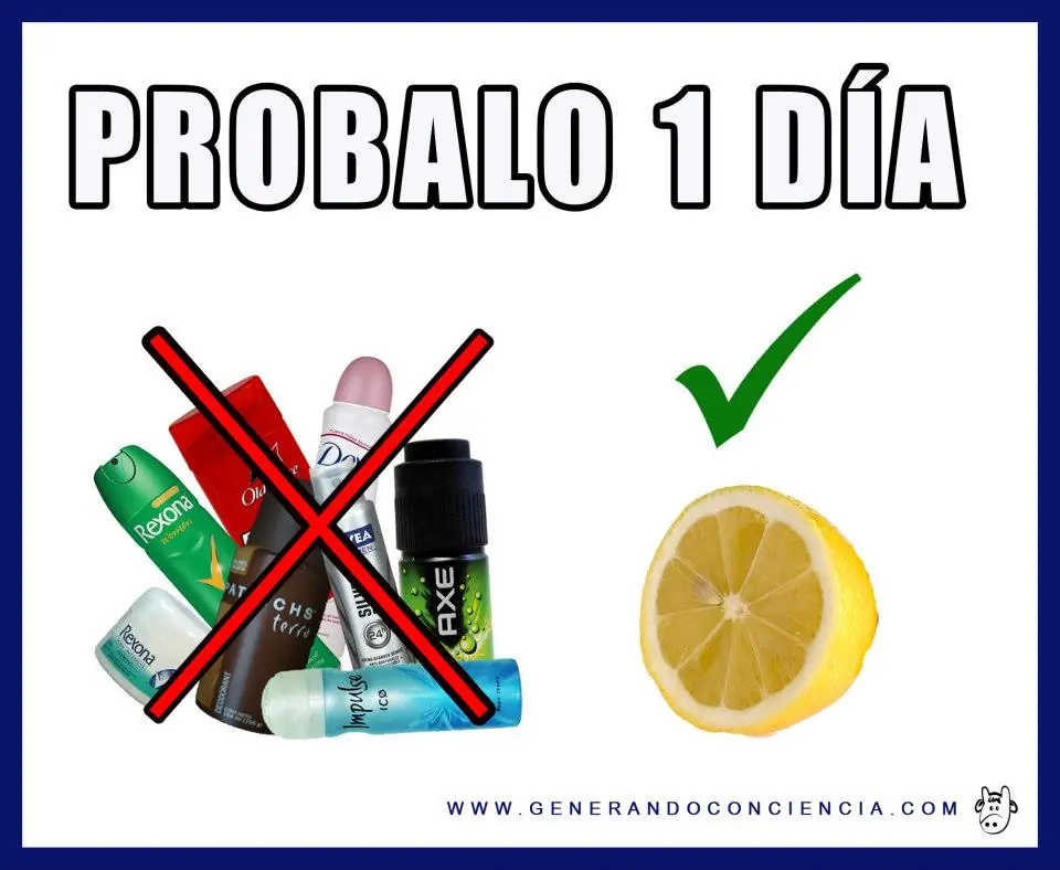 El limón | Un extraordinario desodorante natural