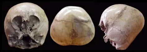 Nibiru