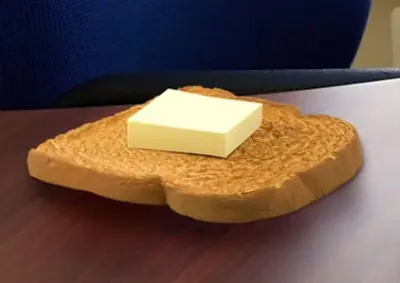 gato