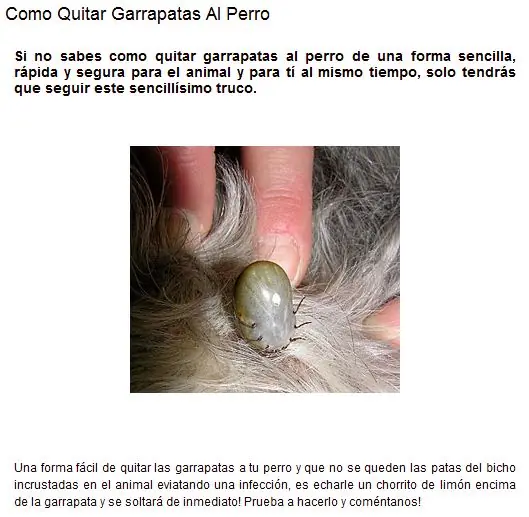 consejos