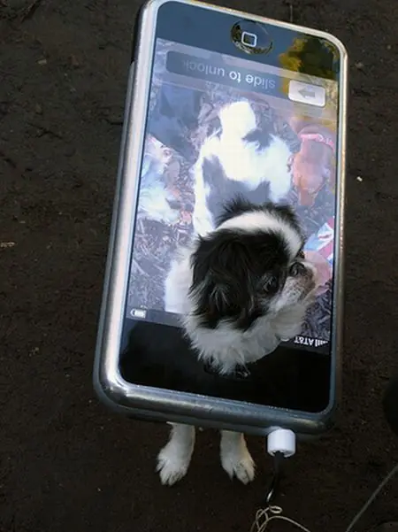 Disfraces nerds para halloween