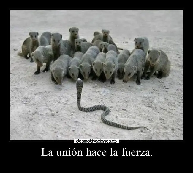 Riete a lo grande