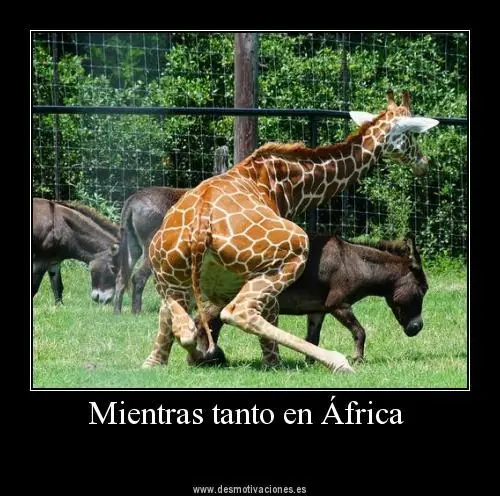 coleccion de mientras tanto en (meanwhile in) 1