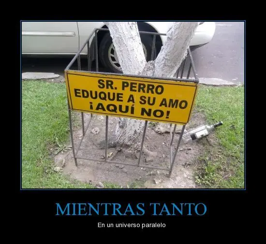 coleccion de mientras tanto en (meanwhile in) 1