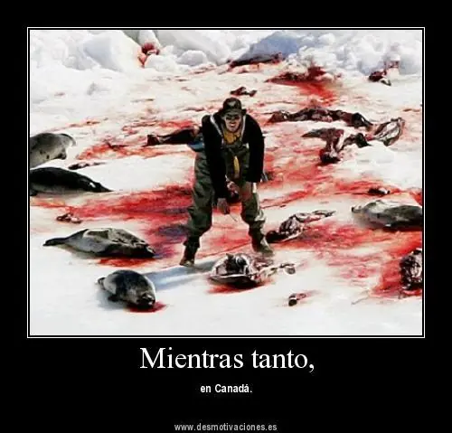 humor